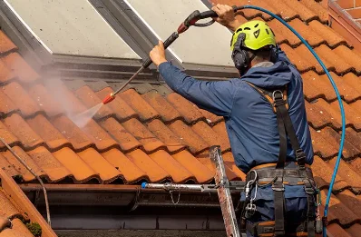 Démoussage et hydrofuge de toiture à Dompnac